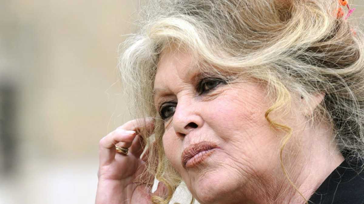 Brigitte Bardot dézingue violemment les César et fait des déclarations scandaleuses et fracassantes !