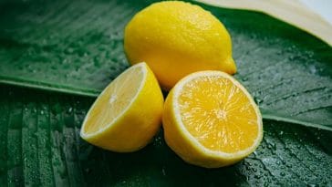 Le Citron : Voici 5 bienfaits très étonnants du fruit jaune sur la santé...