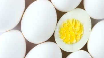 Cholestérol 4 conseils pour ne pas que les œufs durs n’éclatent au moment de la cuisson