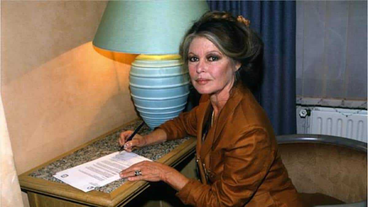 Brigitte Bardot ruinée à cause de sa fondation, après avoir “dilapidé la majorité de ses gains de star”