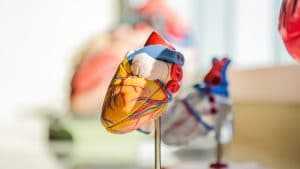 cardiaque Maladie de cœur : découvrez les premiers signes précurseurs et symptômes qui doivent vous alerter !