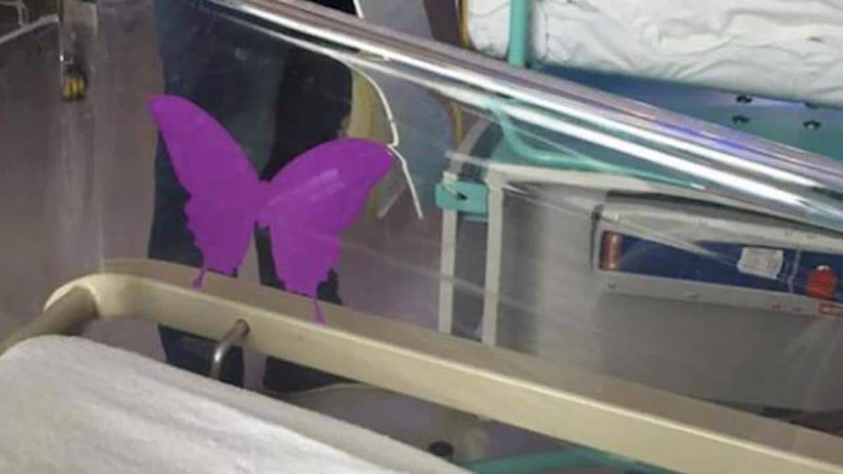 Maternité : la triste signification du « papillon violet » sur les berceaux des bébés