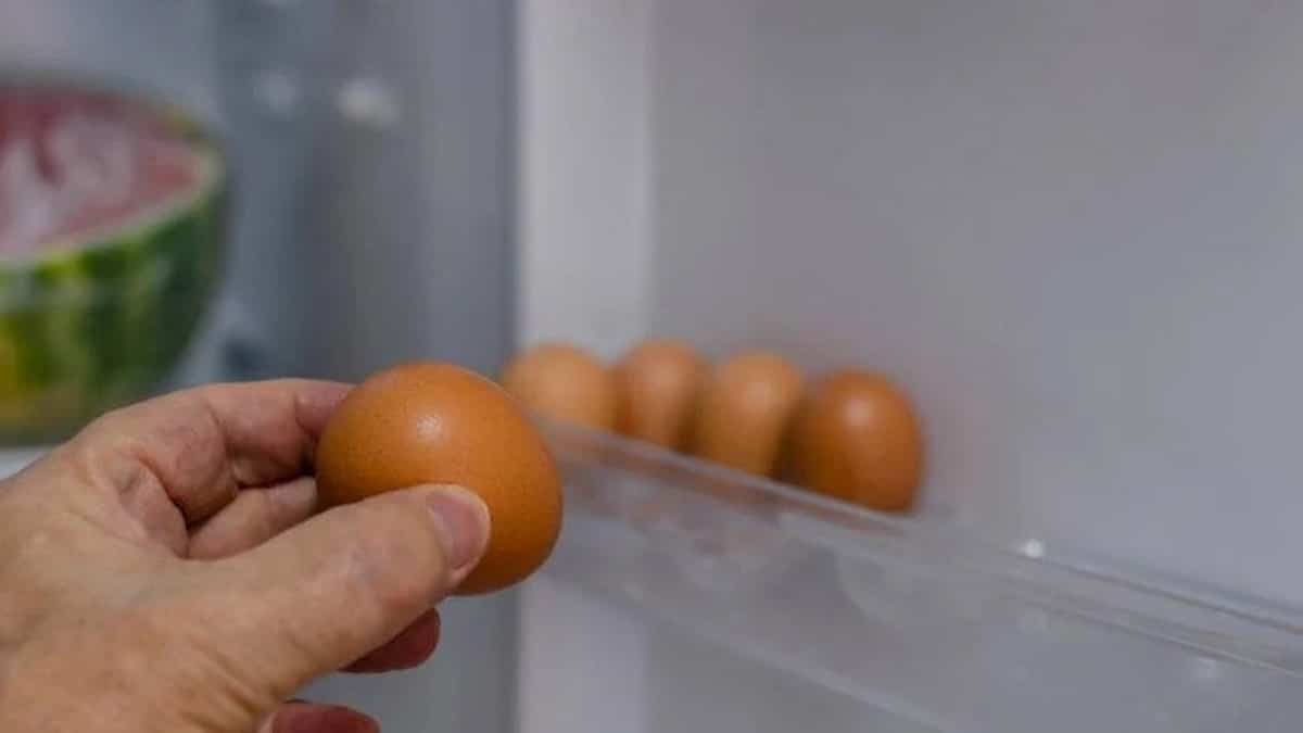 Pourquoi il ne faut pas garder les œufs au Frigo ?
