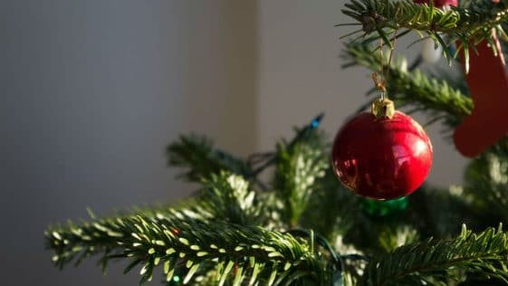 Prime de Noël : Découvrez si vous pouvez en bénéficier et son fonctionnement