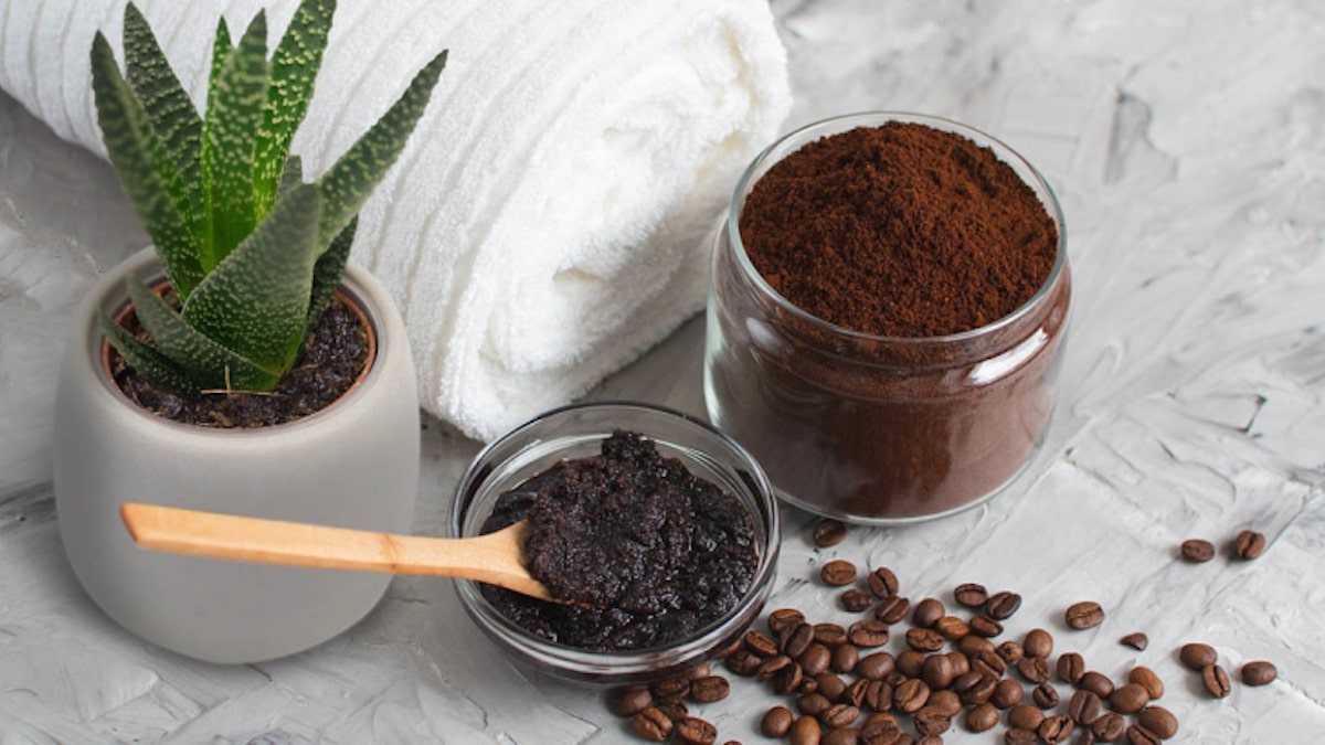 6 recettes avec du marc de café qui sont géniales pour vos plantes