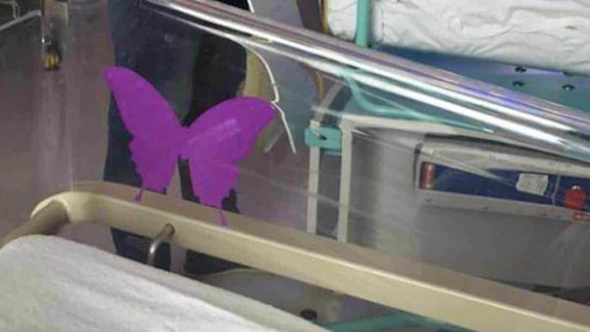 Maternité : le sens tragique du "papillon violet" sur les berceaux des bébés