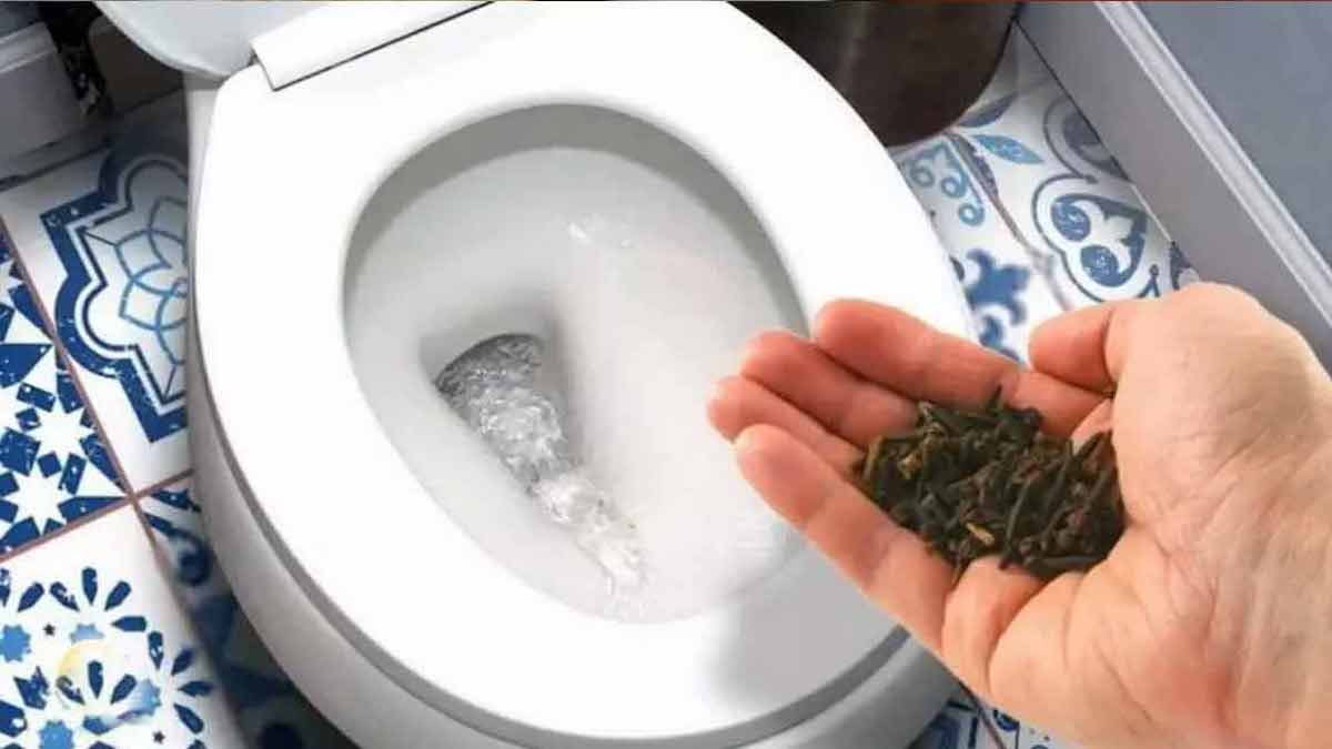 Urine : comment éliminer définitivement l’odeur dans la salle de bain et garder une odeur propre