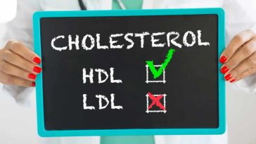 Voici la liste des aliments qui favorisent votre taux de cholestérol sain !