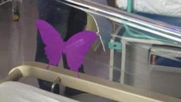 Maternité : la signification du "papillon violet" des berceaux cache un drame