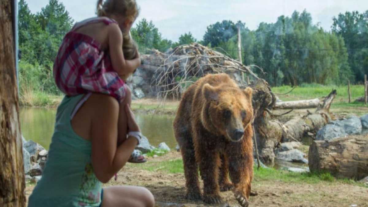 Une mère de famille pète les plombs et jette sa fille de 3 ans dans l'enclos d'un ours
