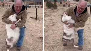 Vidéo : un chien sourd et aveugle retrouve son grand-père 1 an après, sa réaction bouleversante !