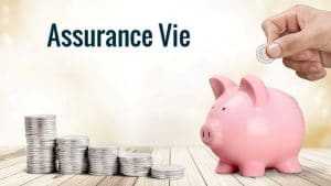 Assurance-vie: par quoi remplacer les fonds en euros ? Voici les solutions d’un expert