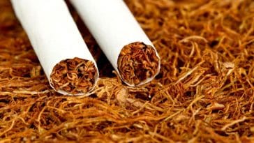 Tabac : quelles sont les cigarettes qui ont augmenté ou baissé depuis mai