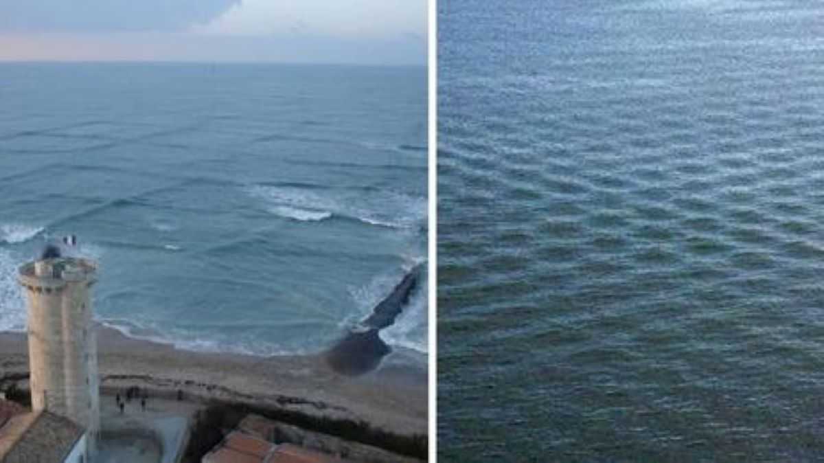 Si vous voyez des vagues carrées se former, alors sortez vite de l'océan et éloignez-vous