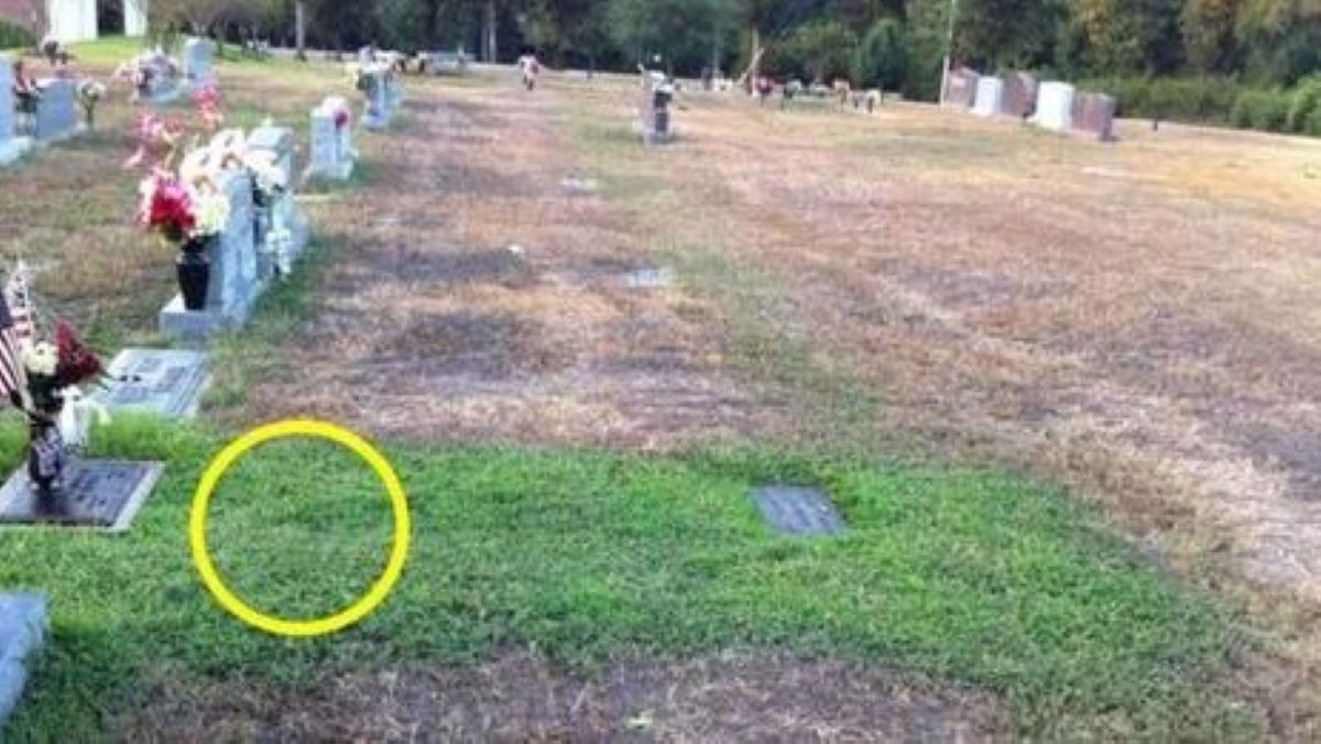 La maman comprend pourquoi la tombe de son fils décédé est verte