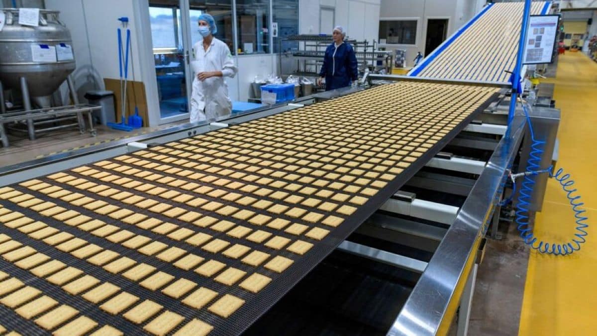 Alerte info : présence de salmonelle dans une usine de production de biscuits