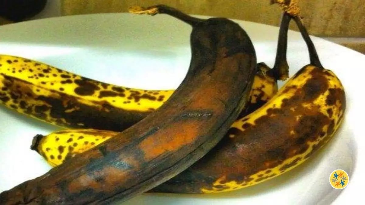 Découvrez les utilisations insoupçonnées et magiques des bananes trop mûres