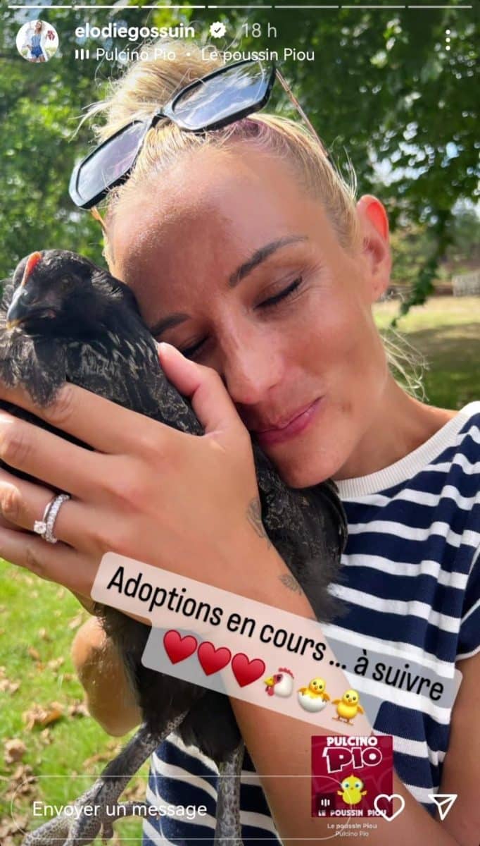 elodie-gossuin-adoption-poule-enlarge-the-family-story-instagram-ongoing-process