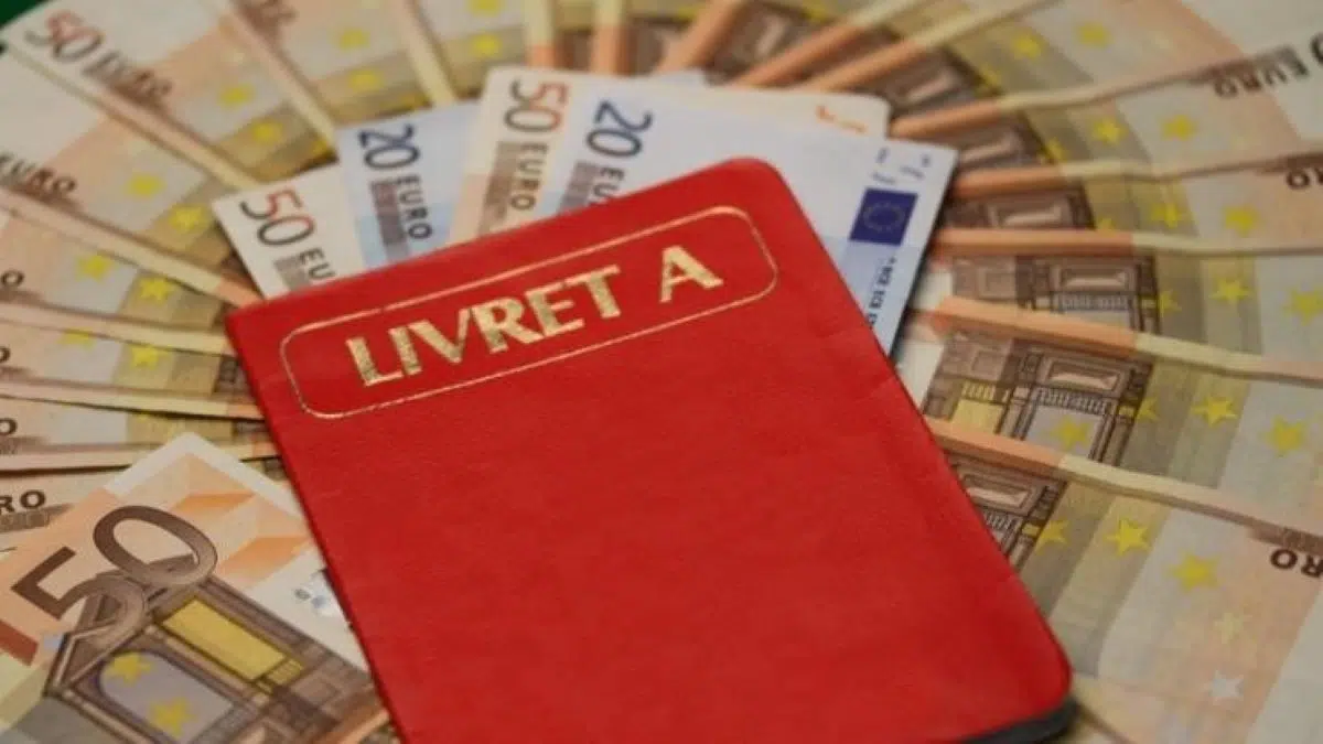Livret A, SCPI, assurance-vie : voici comment faire fructifier 10 000 €