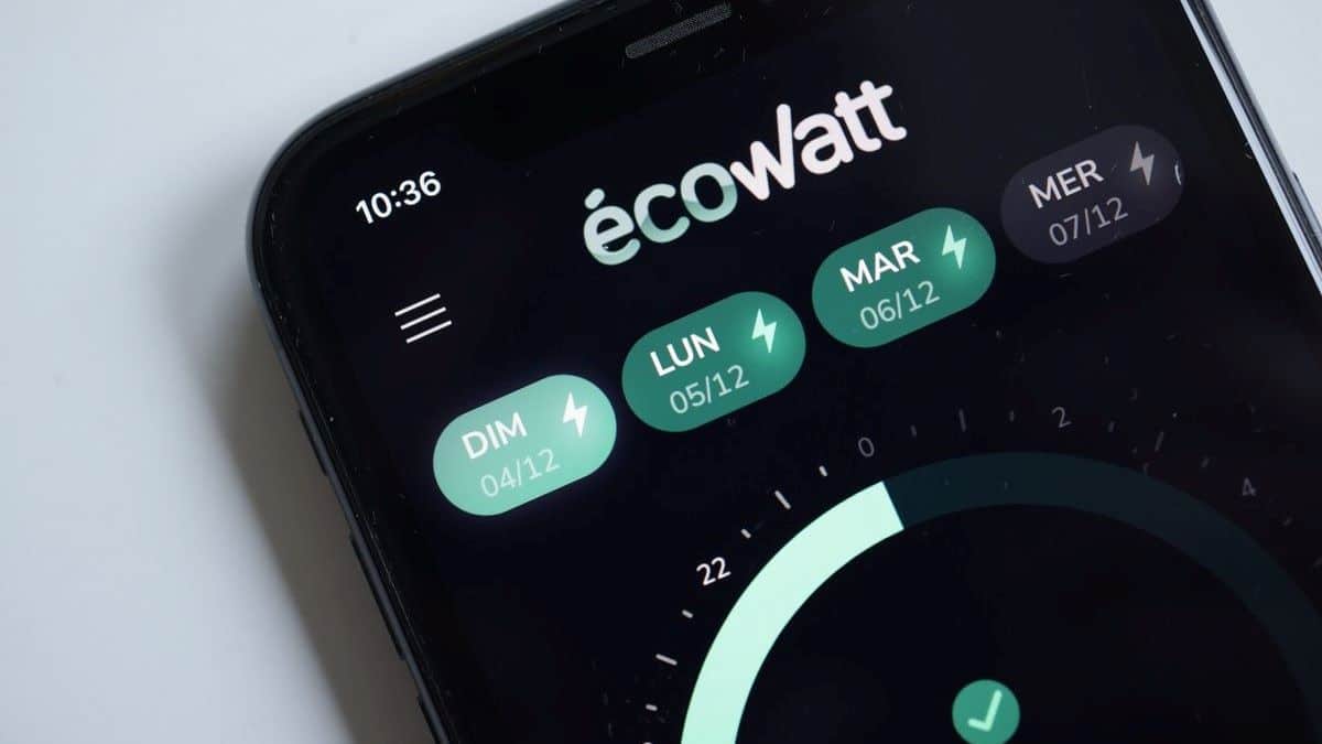 Ecowatt : voici pourquoi il n’y a pas de coupure d’électricité cette semaine de grand froid