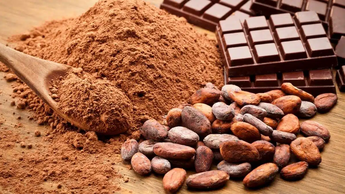Alimentation : voici pourquoi le chocolat que vous achetez est de plus en plus amer