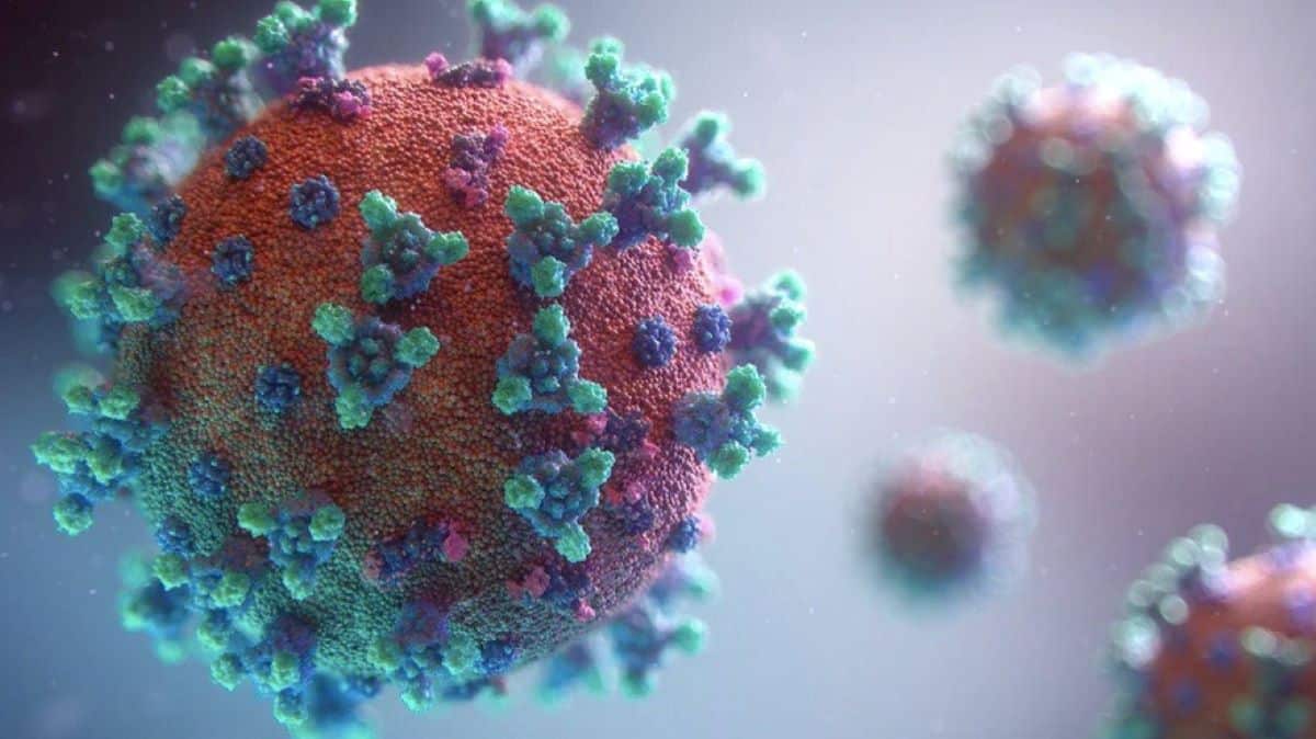 Épidémie Covid-19 : le virus est-il réellement moins dangereux ? On fait le point