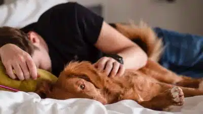 Est-ce sain de dormir avec votre chien ou votre chat ? Des experts répondent