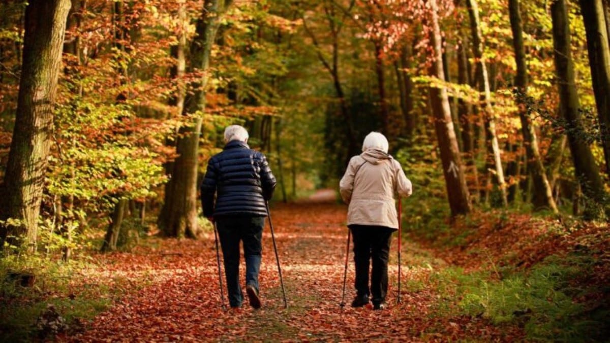 Réforme des retraites : voici quelle est désormais l’espérance de vie en bonne santé