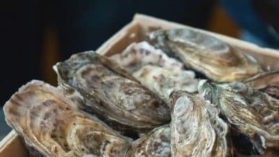 Alerte, rappel produit : un virus détecté dans des huîtres vendues dans toute la France