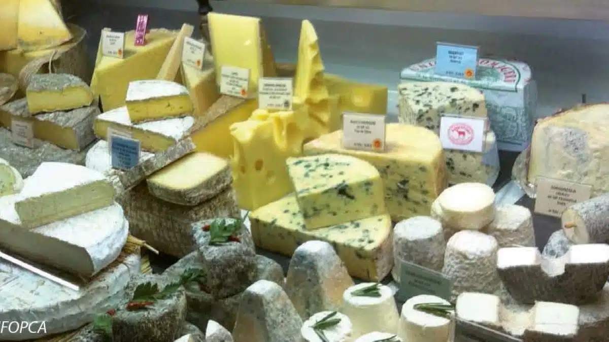 Alerte, 23 fromages contaminés à la listeria font l’objet d’un rappel produit urgent !