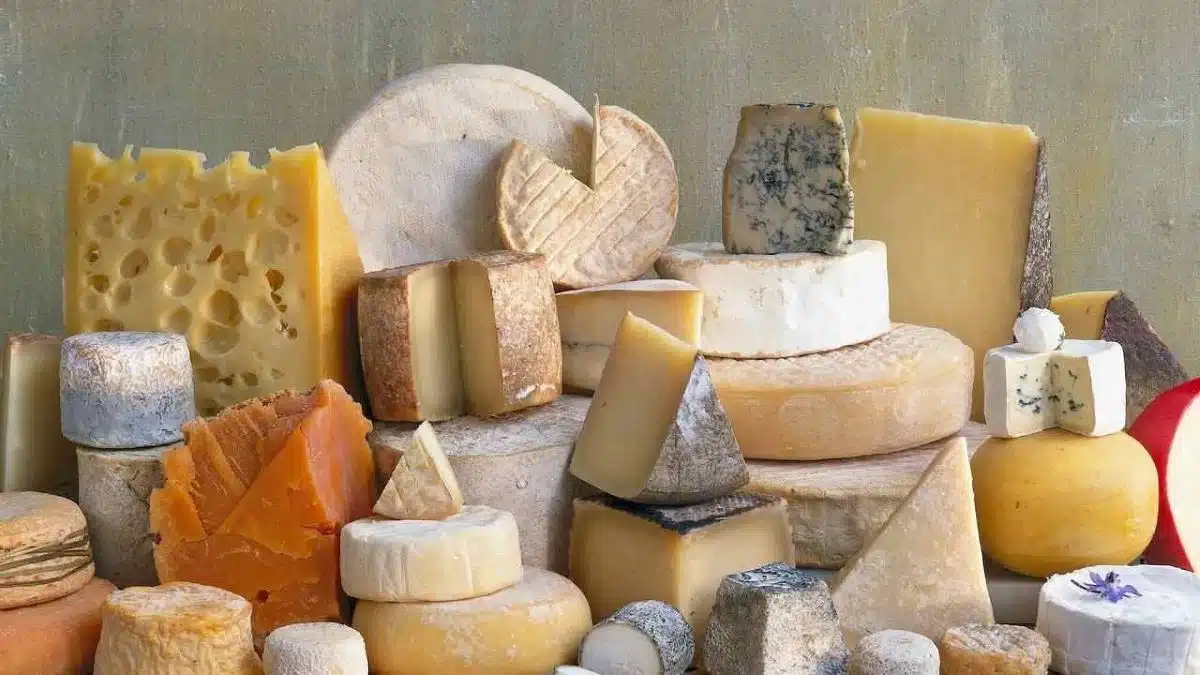 Régime pauvre en sel : voici quels sont les fromages les moins salés et ceux à bannir