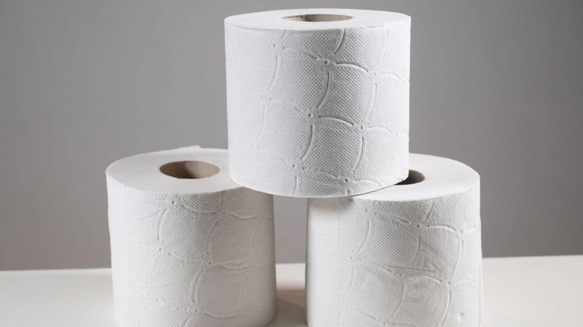 Le papier toilette contaminé par des polluants chimiques éternels, révélations incroyables