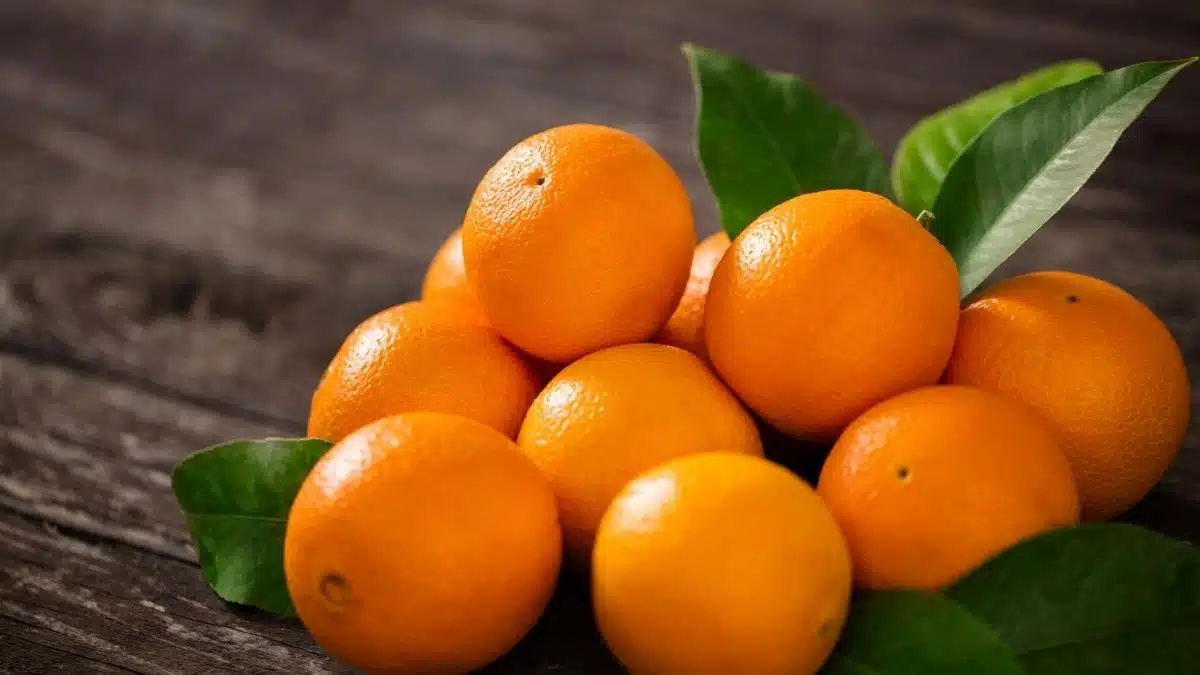 Ces oranges font l’objet d’un rappel produit en France, ne les consommez surtout pas !