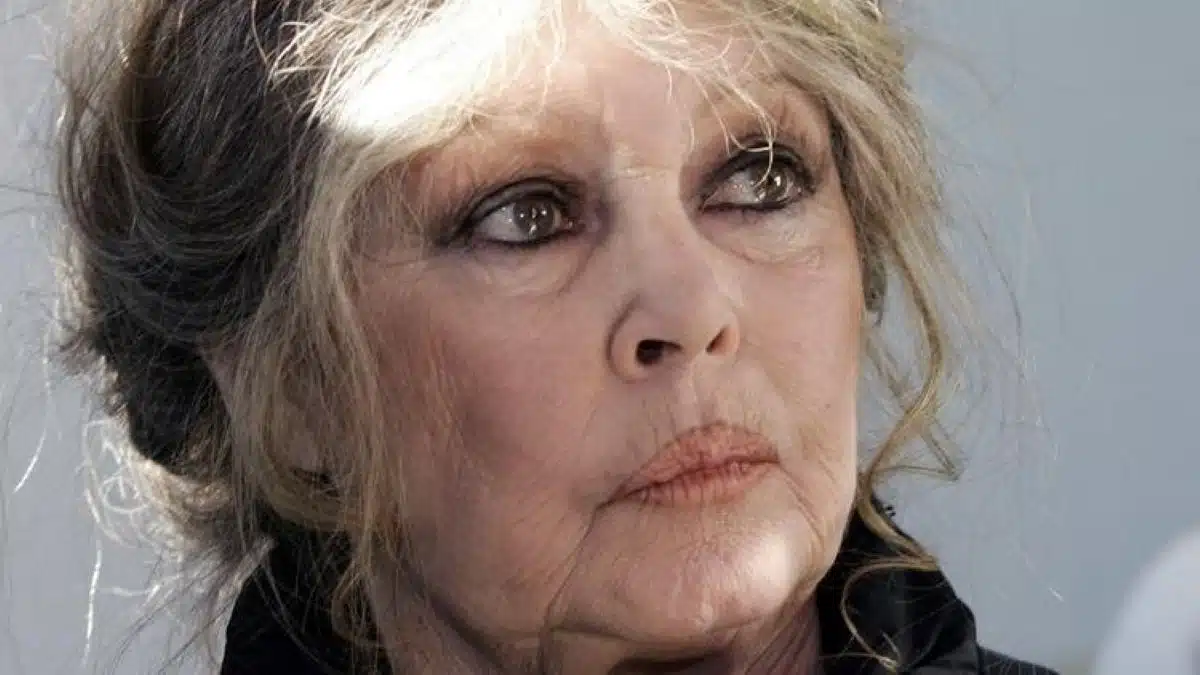 Brigitte Bardot évoque comme jamais sa relation avec ses arrières petits-enfants