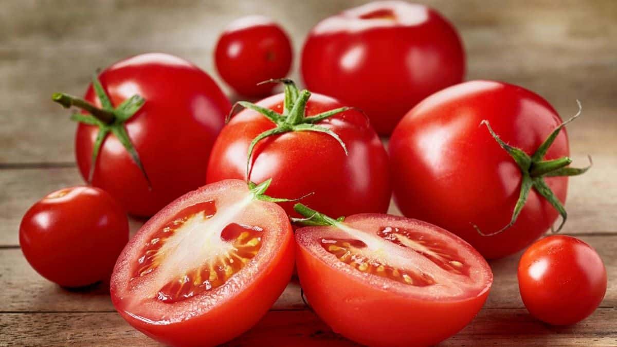 Alerte, ces tomates contaminées font l’objet d’un rappel produit, ne les consommez pas