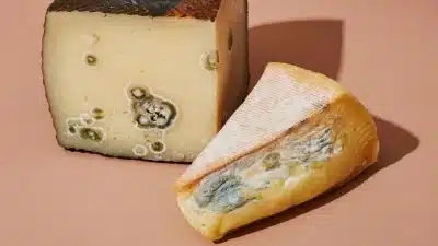 Le fromage périmé est-il vraiment sans risque pour la santé ? Tout savoir sur les dates