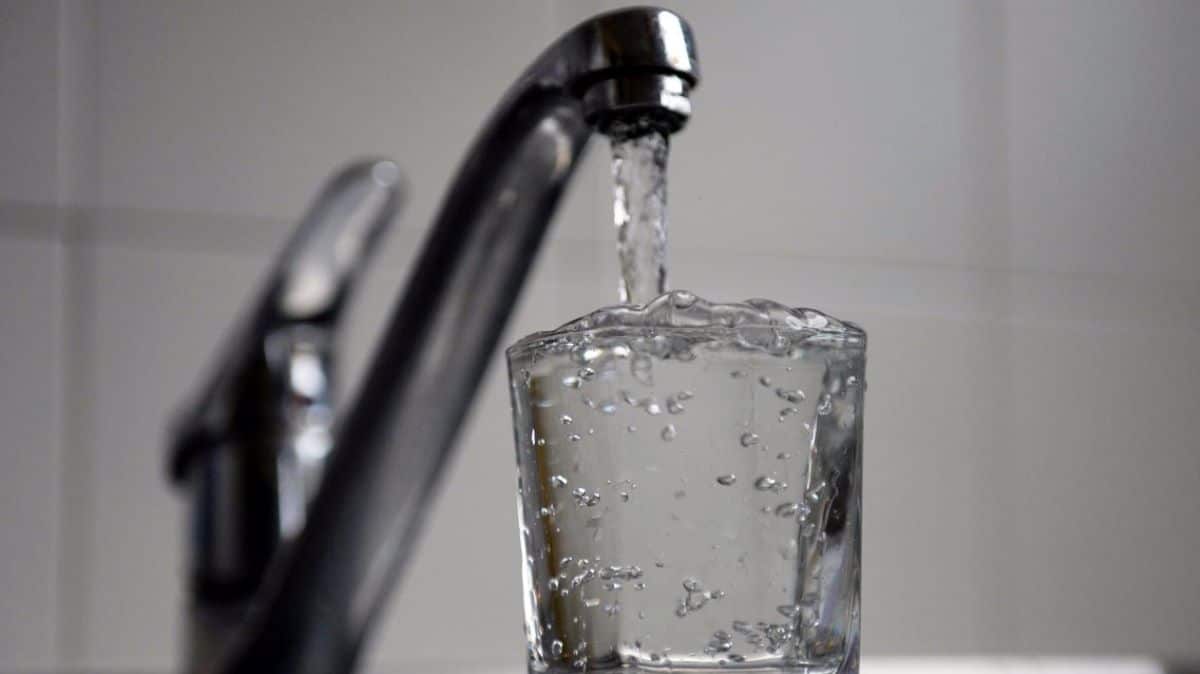 Eau du robinet contaminée : tout savoir sur la multiplication d’un parasite dans l’eau potable