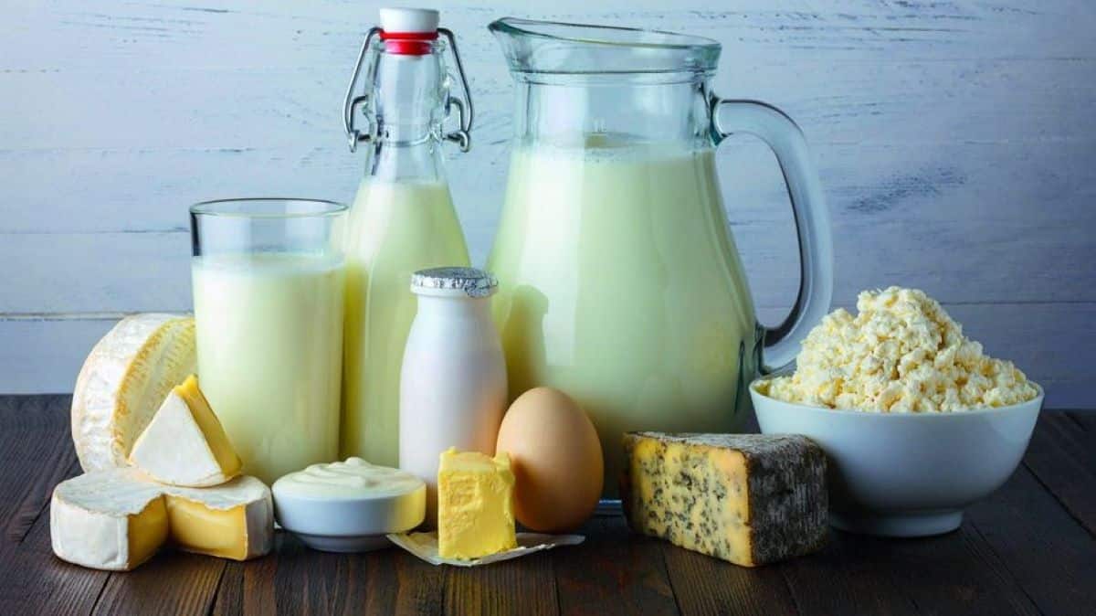 Here are the best alternatives to dairy