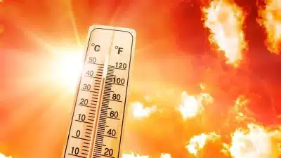 Canicule : attention aux chaleurs extrêmes prévues en juin !