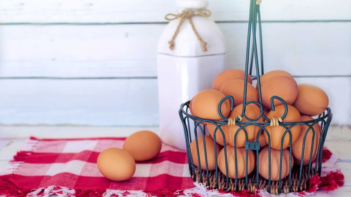 Cette terrible erreur que nous faisons tous pour conserver des œufs, ne la faite plus