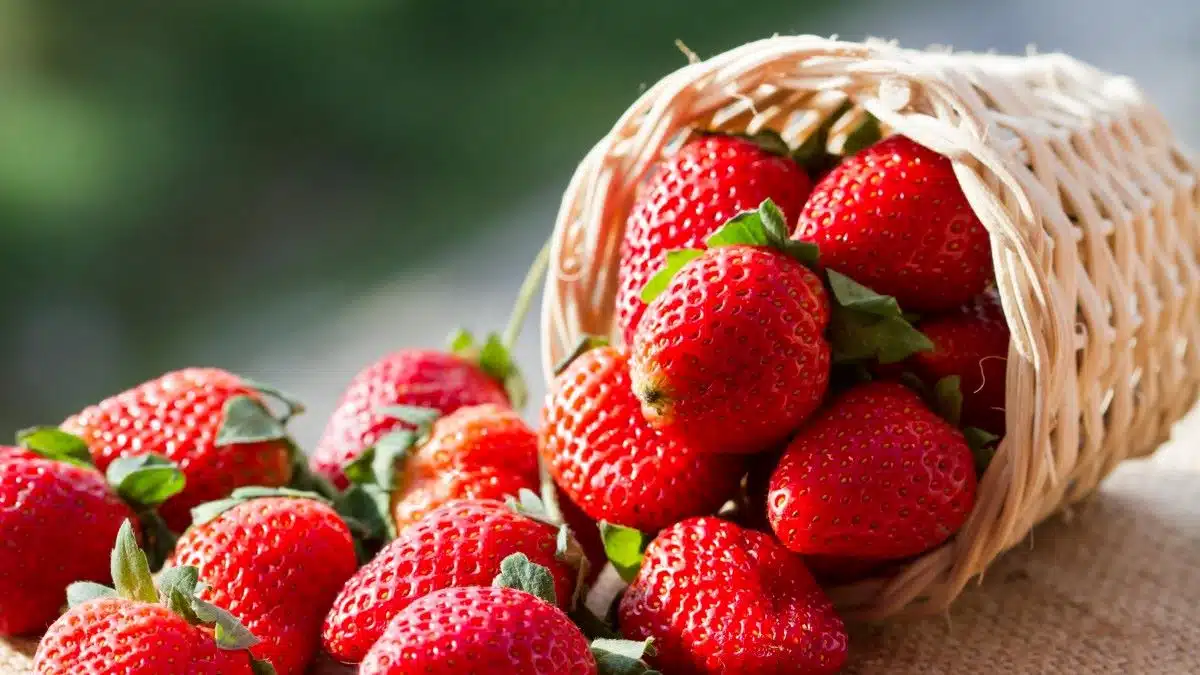 Les fraises peuvent-elles être nocives pour la santé ? On fait le point