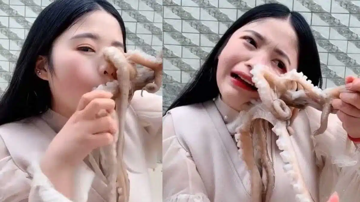 Elle décide de manger une pieuvre, l’animal s’agrippe à elle et la défigure !