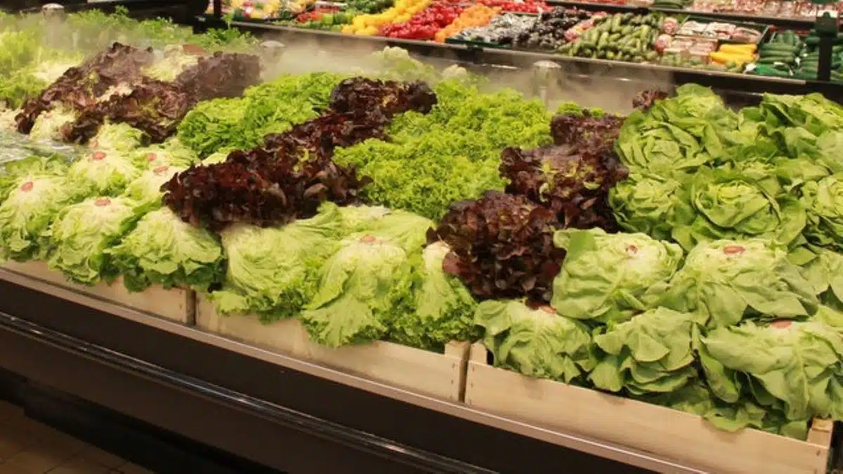 Cette salade nocive pour la santé est rappelée en urgence et est interdite à la vente