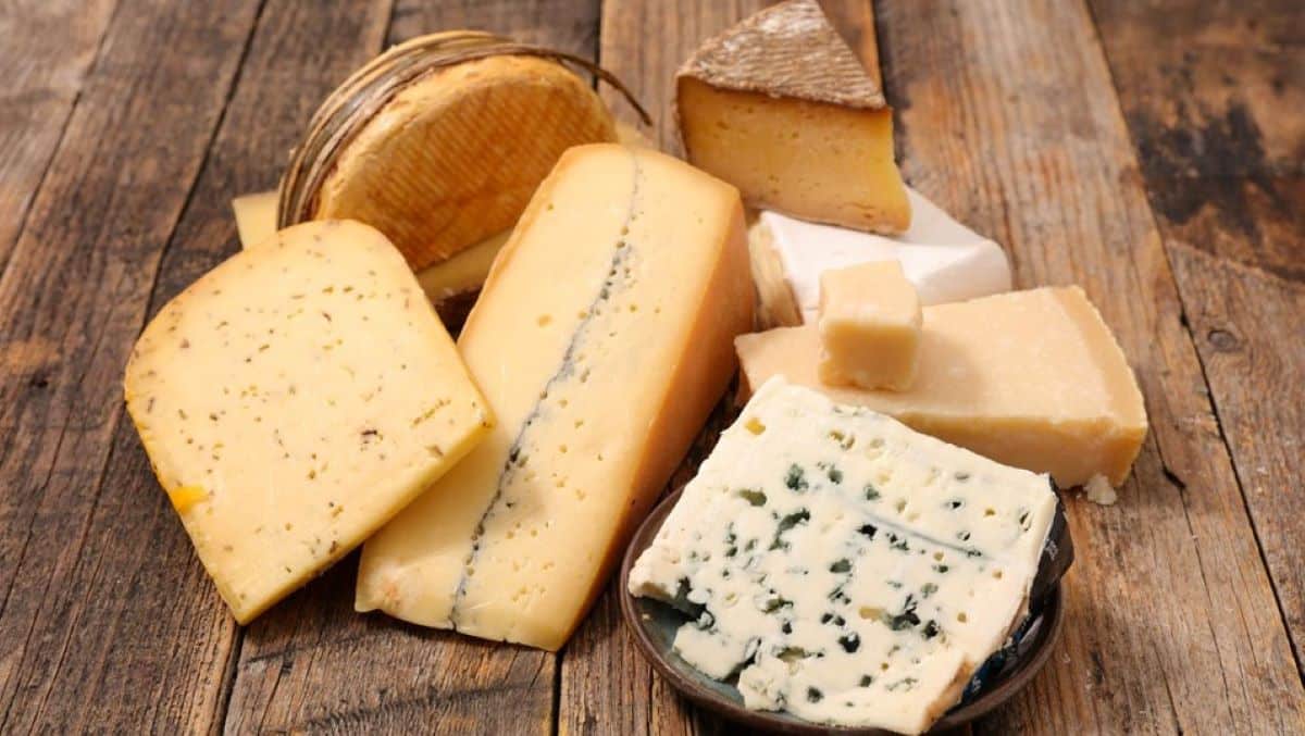 Le fromage peut-il être congelé ? Une experte dévoile ce qu’il est possible de faire ou non