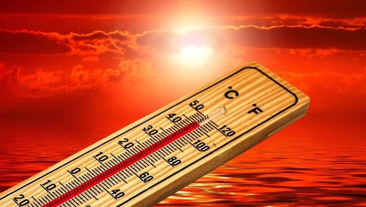 Canicule : cette vague de chaleur extrême va-t-elle durer ? La réponse de Météo France