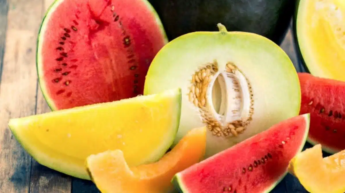 Voici pourquoi manger trop de melons et pastèques en été n’est pas recommandé