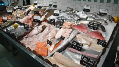 Attention, ce poisson contaminé est rappelé en urgence dans toute la France, ne le mangez pas