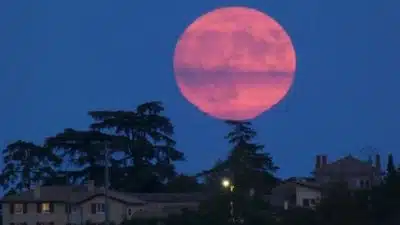 La dernière Super Pleine Lune de l’année va illuminer le ciel comme jamais, voici la date
