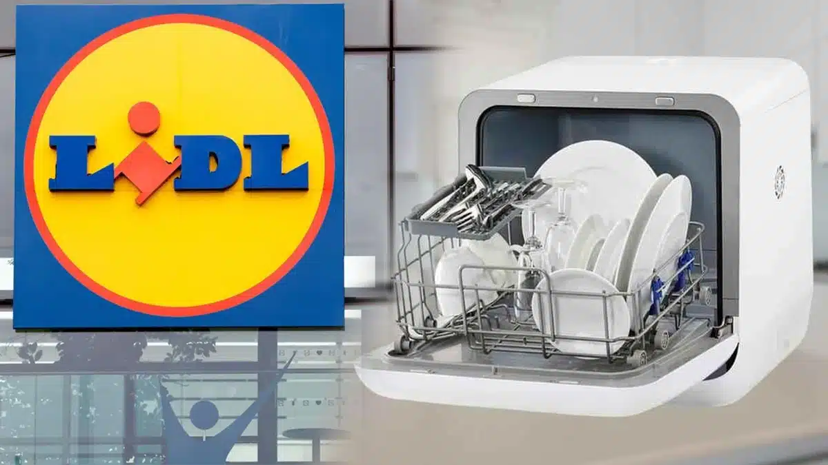 Lidl : Ce lave-vaisselle portable qui peut être placé n'importe où dans la cuisine