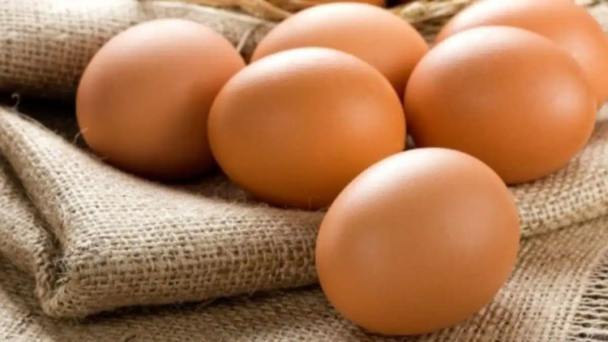 Pourquoi les œufs sont vendus par lots de 6 ou 12